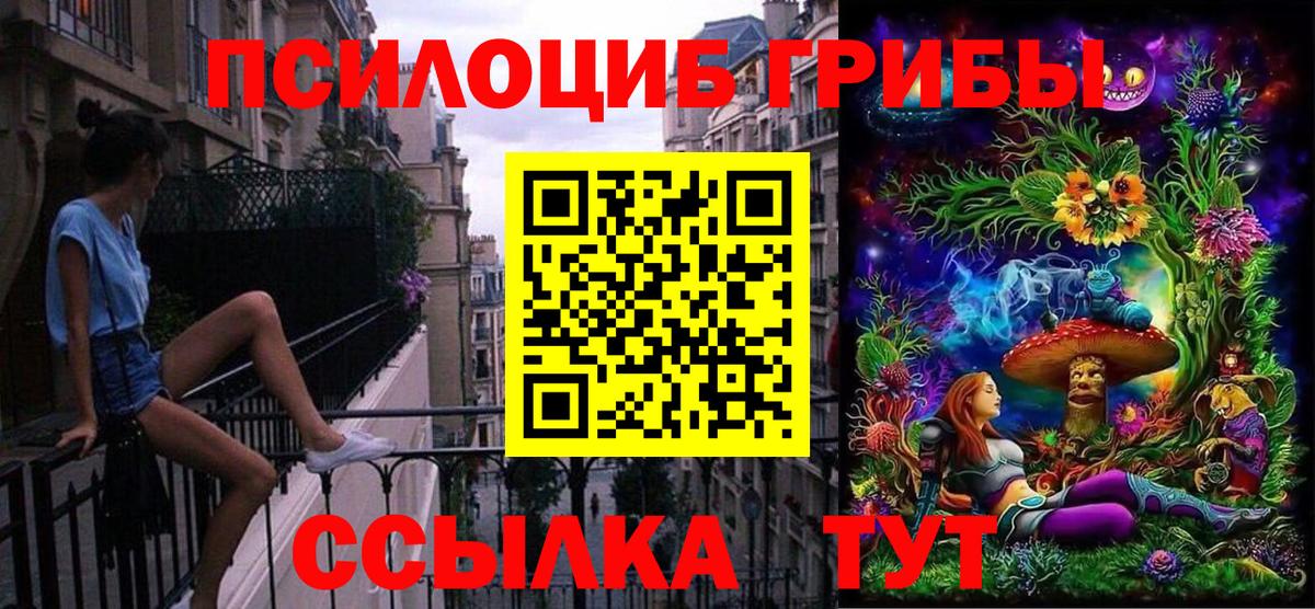Псилоцибиновые грибы Psilocybe  Вход с VPN  Лыткарино 